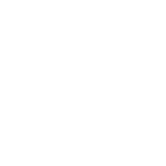 Logo Wings